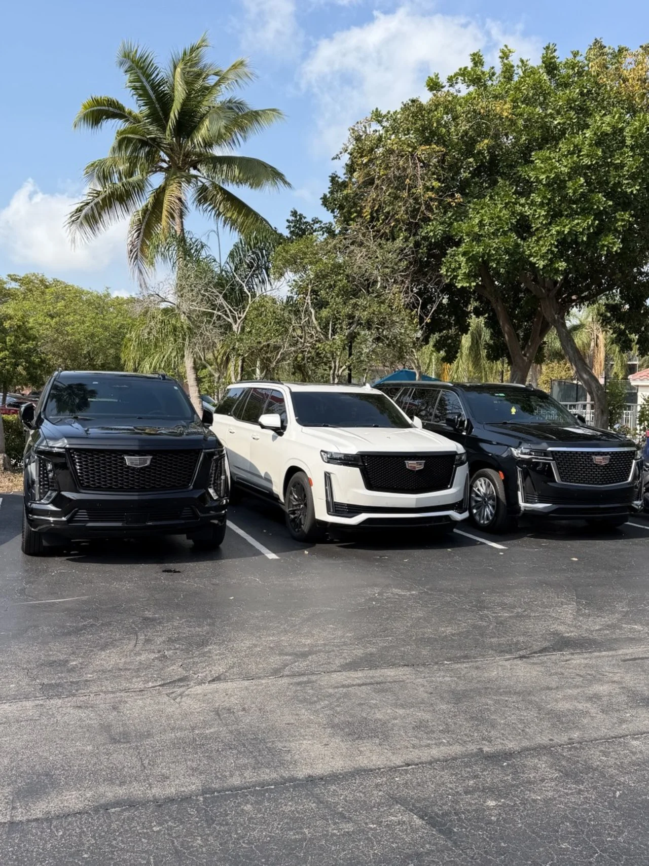Three-vehicle Escalade convoy for VIP groups