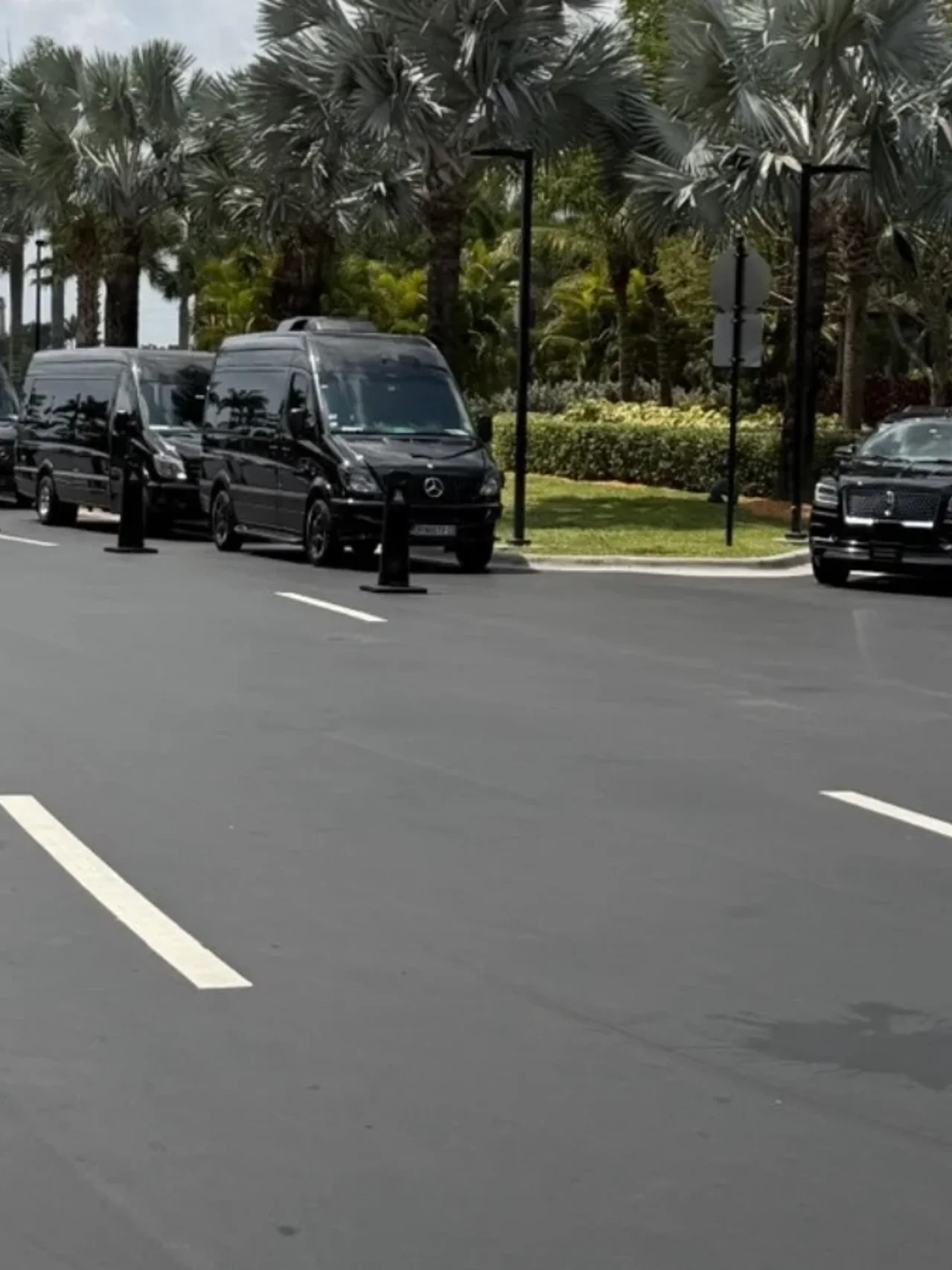 Sprinter + Lincoln line-up at Hard Rock Hotel