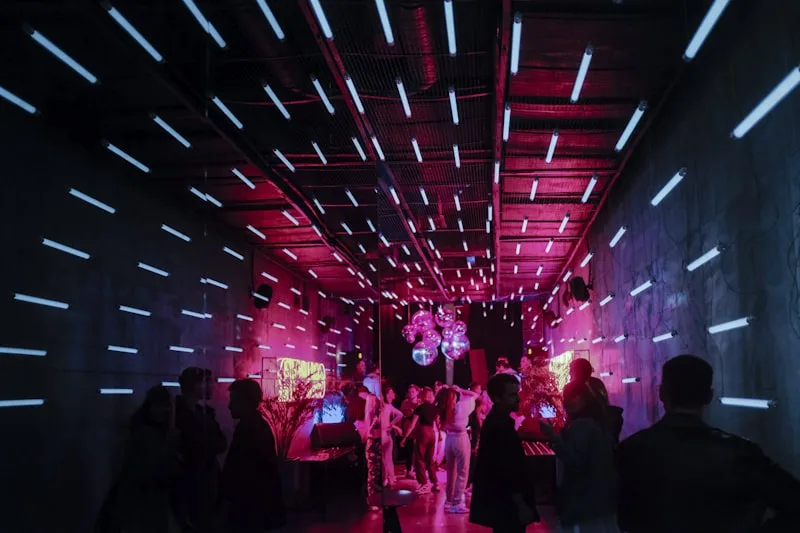 Party Bus & Nightlife